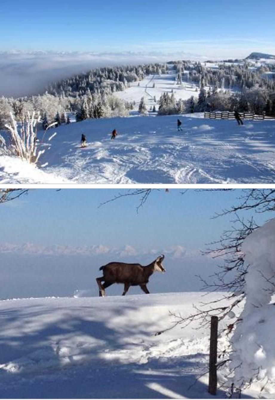 Métabief Le Chamois Mont D'Or 아파트 외부 사진